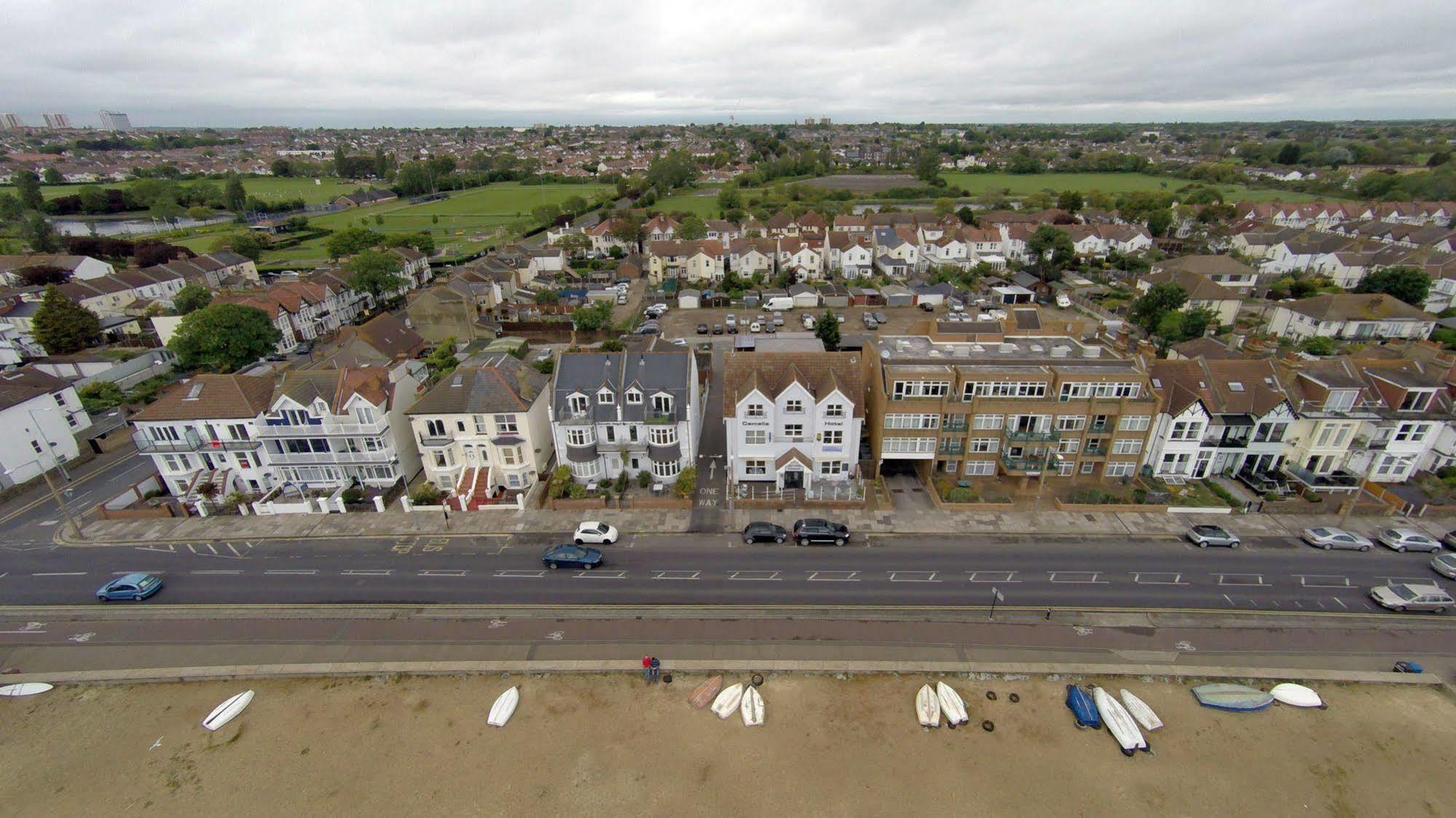 Camelia Southend-on-Sea